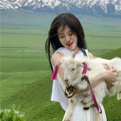 狮子狗行动